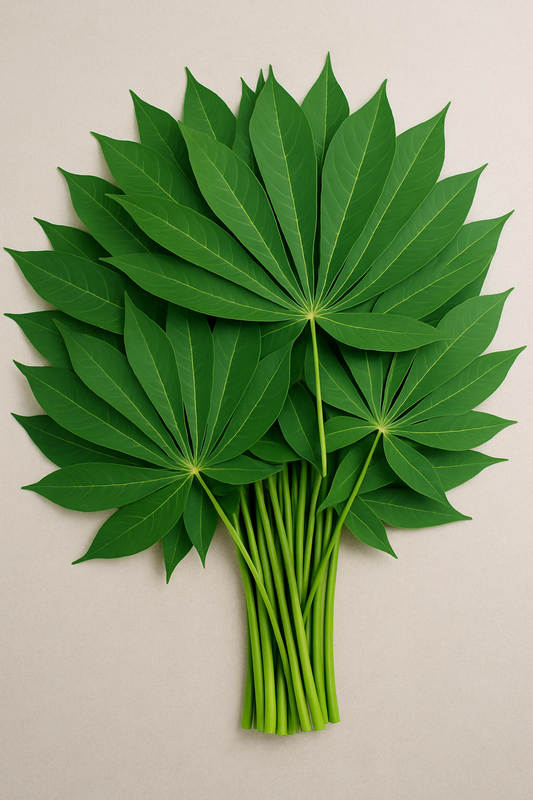 Feuilles de Manioc Fraîches Naturelles