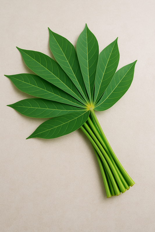 Feuilles de Manioc Fraîches Naturelles