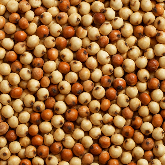 Sorgho en Grains – Naturel