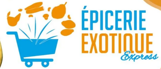 La franchise Épicerie Exotique Express : Vous accompagner dans la création d’une épicerie en ligne avec un budget réduit